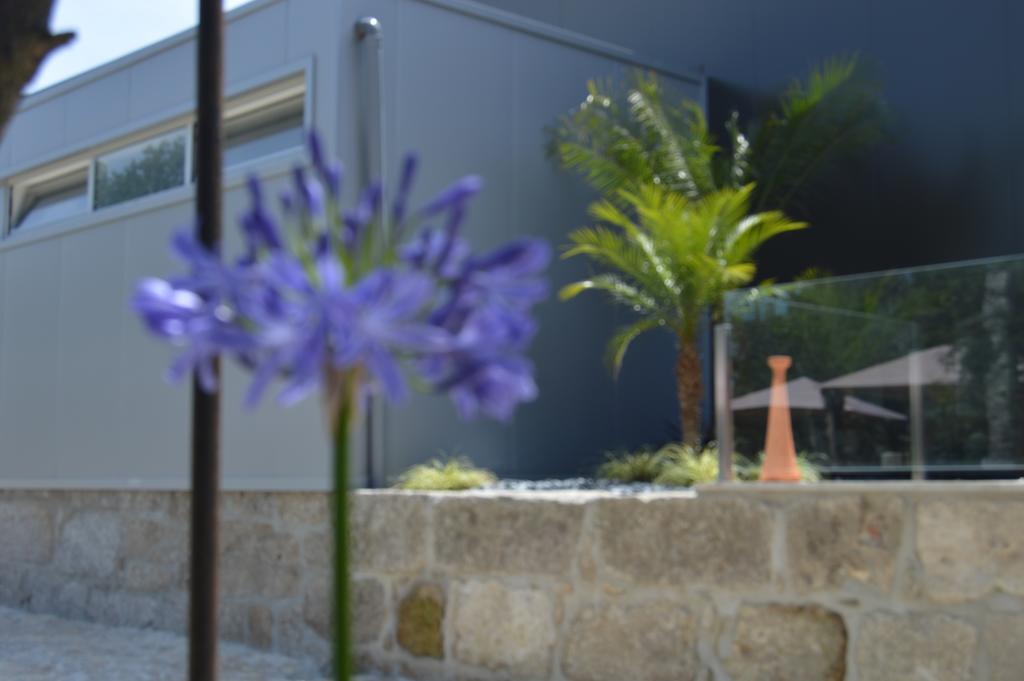 Quinta Das Tulipas Villa Barcelos Eksteriør billede