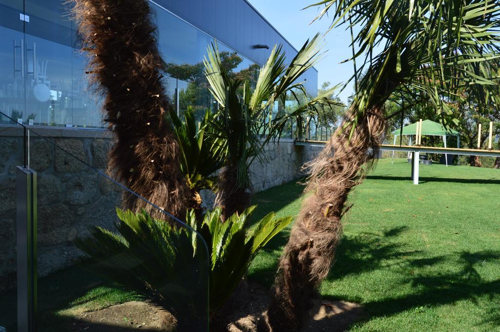 Quinta Das Tulipas Villa Barcelos Eksteriør billede